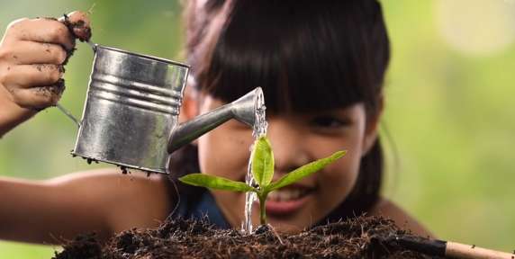about-little-scholars-academy