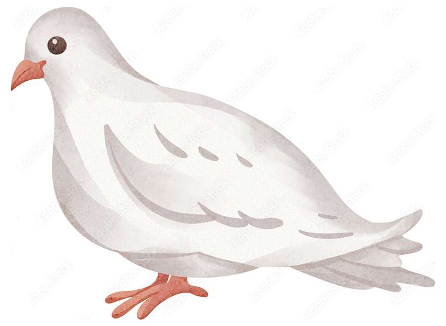 Doves