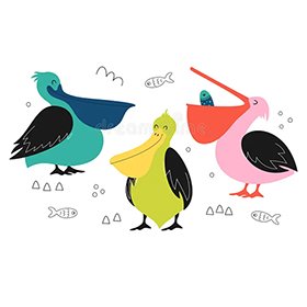 Pelicans