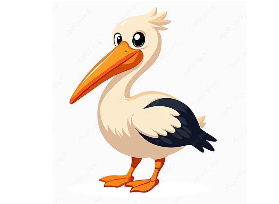 Pelicans